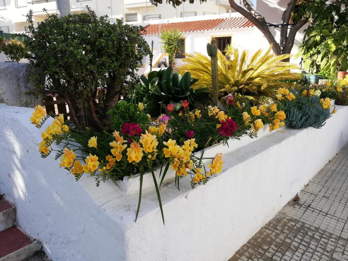 Apartamentos A Cerca ラゴス エクステリア 写真